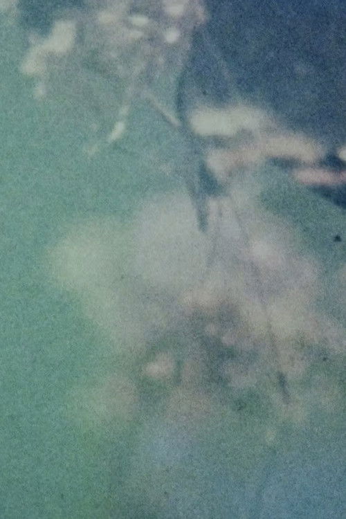 In the Broken Eye of the Butterfly (2022) poster