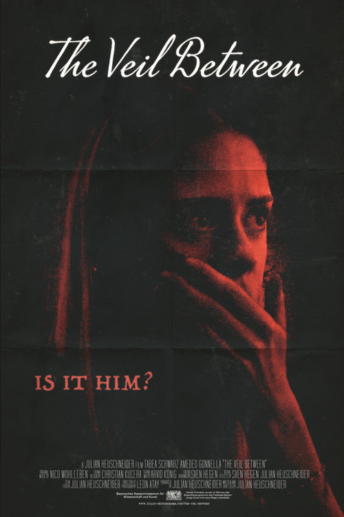 The Veil Between poster