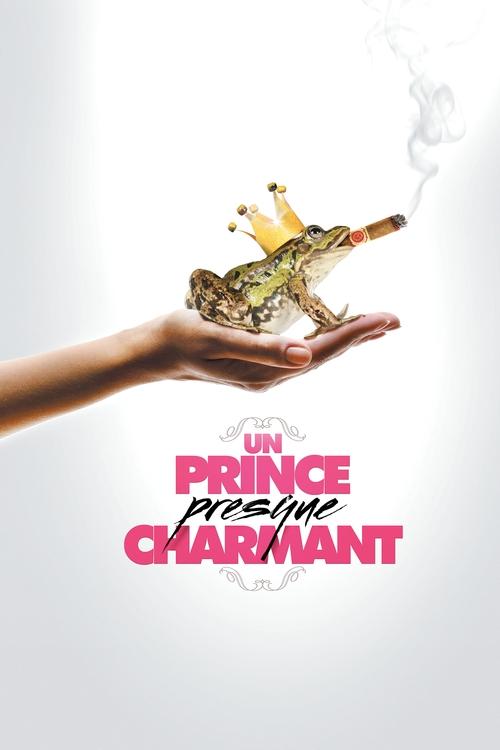 A Prince (almost) Charming (2013) poster
