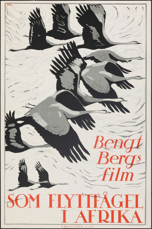 Som flyttfågel i Afrika (1922) poster