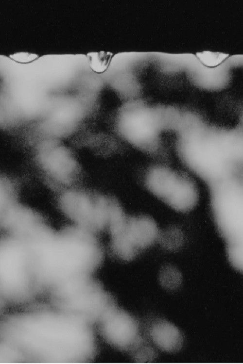 While You Were Sleeping (2003) poster