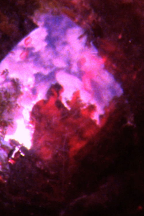 CRACK HOUSE (2015) poster