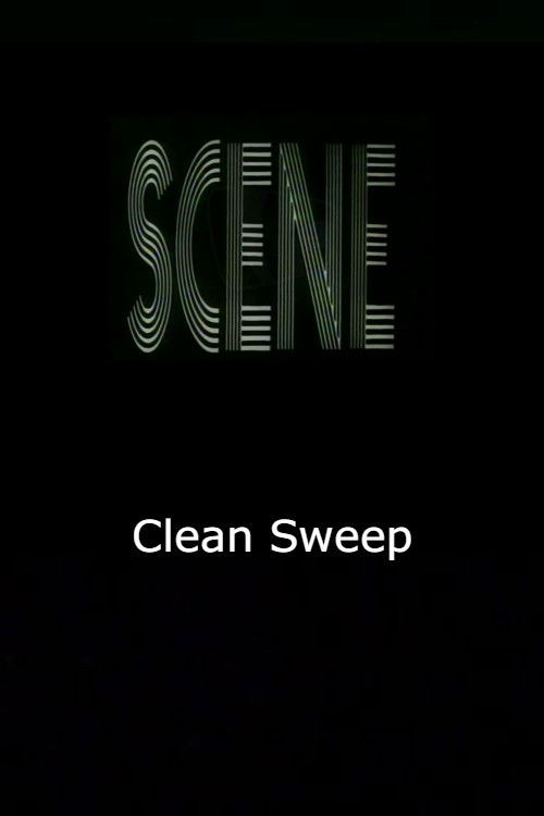 Clean Sweep (1971) poster