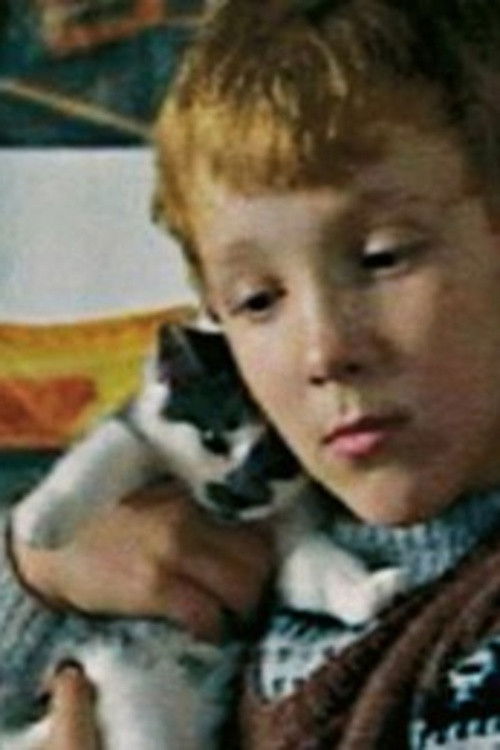 Lauges kat (2003) poster