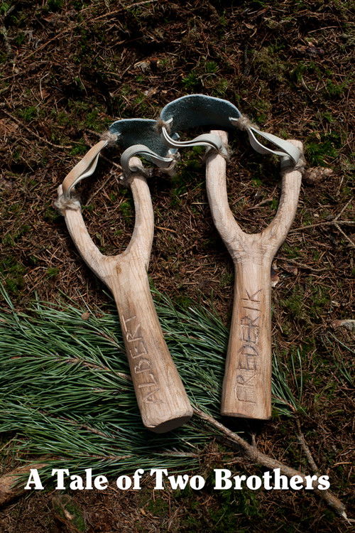 A Tale of Two Brothers (2015) poster