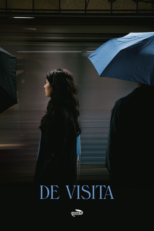 DE VISITA (2024) poster