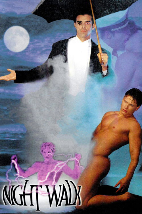 Night Walk: A Bedtime Story (1995) poster