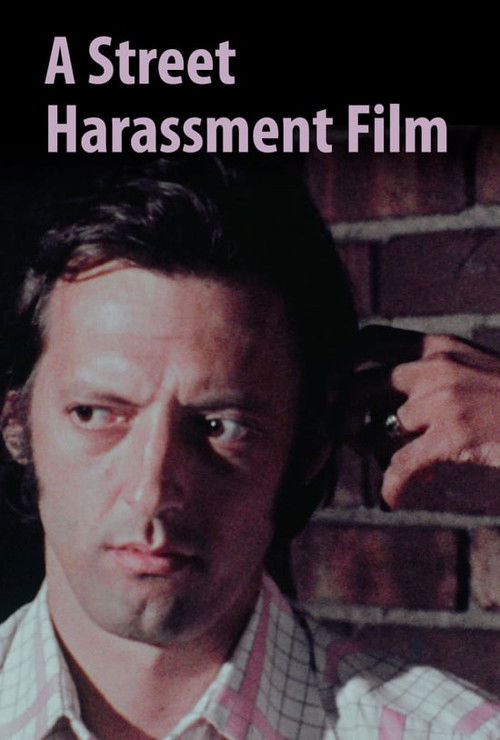 A Street Harassment Film (1975) poster