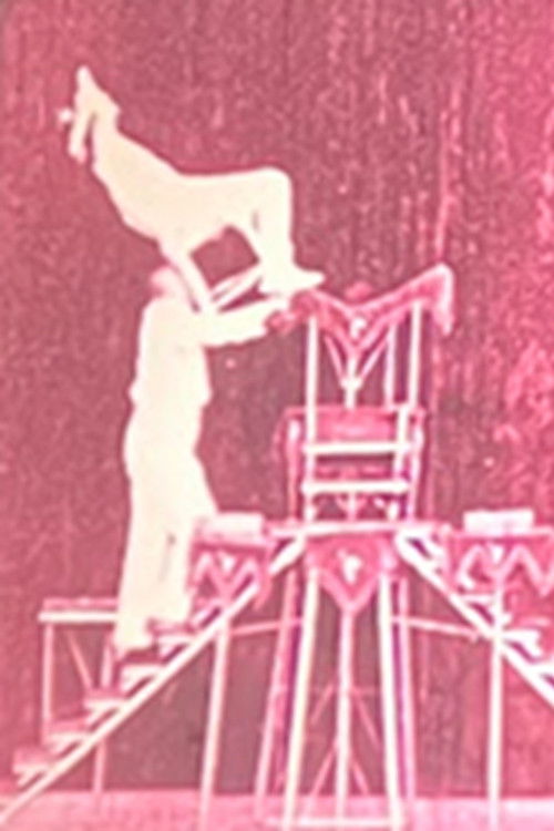 Vaudeville Deluxe (1940) poster