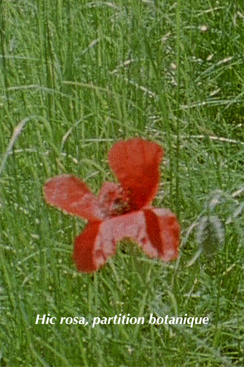 Hic rosa, partition botanique (2007) poster