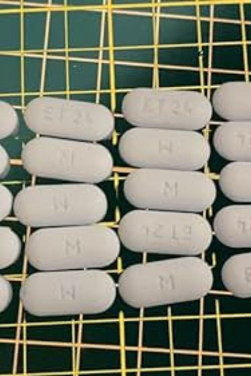 The Lost Art of the Future (2023) poster