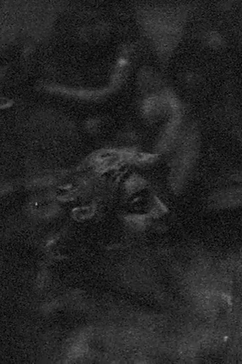 Unmeasured Prelude for Kerry Laitala (1992) poster