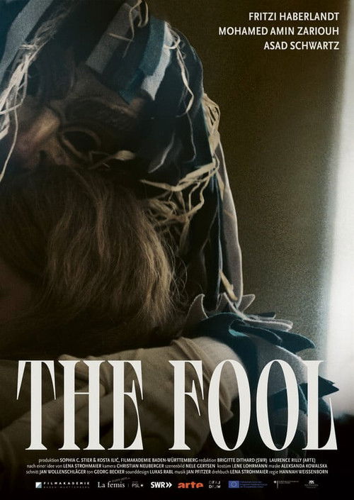 The Fool (2025) poster
