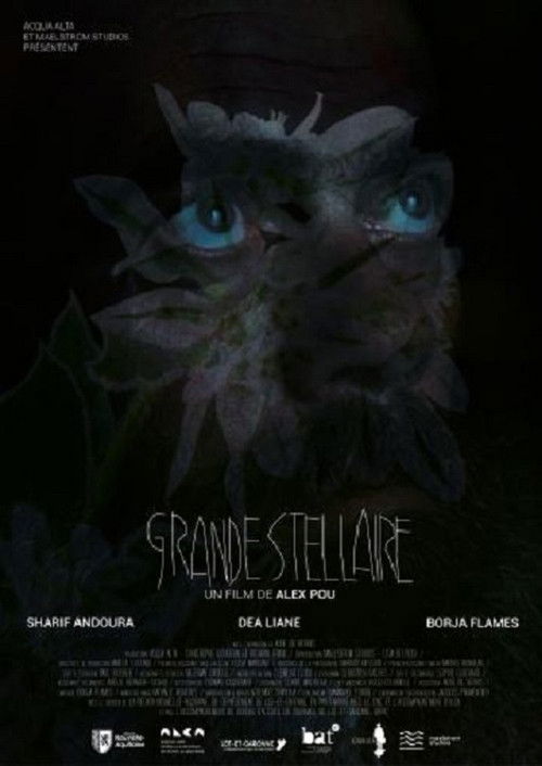Grande Stellaire (2024) poster