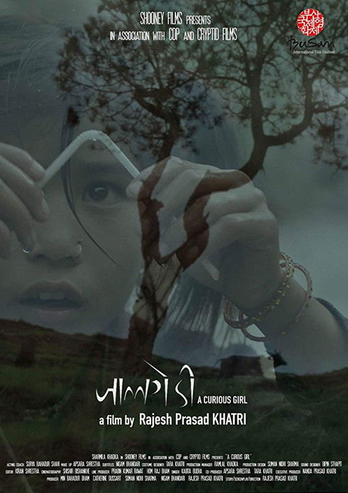 A Curious Girl (2017) poster