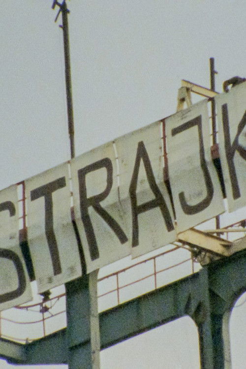 Miners '88 (1989) poster