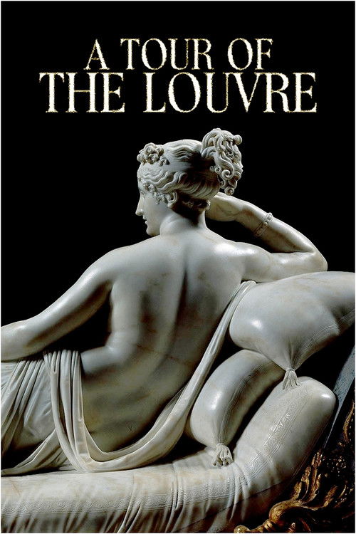A Tour of the Louvre (2021) poster