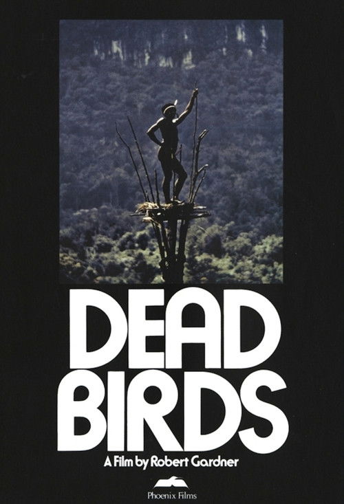 Dead Birds (1963) poster