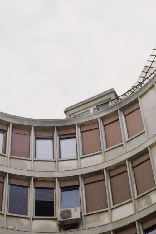 Boomerang‎ (2024) poster