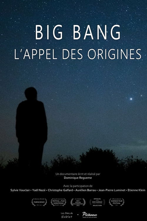 Big bang, l'appel des origines (2022) poster