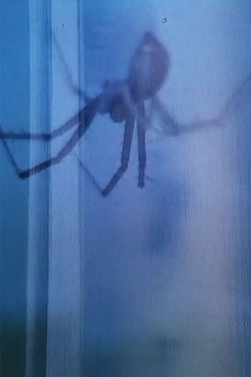 Flora & Fauna (1965) poster