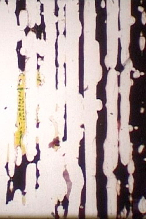 Koala's Song (2001) poster