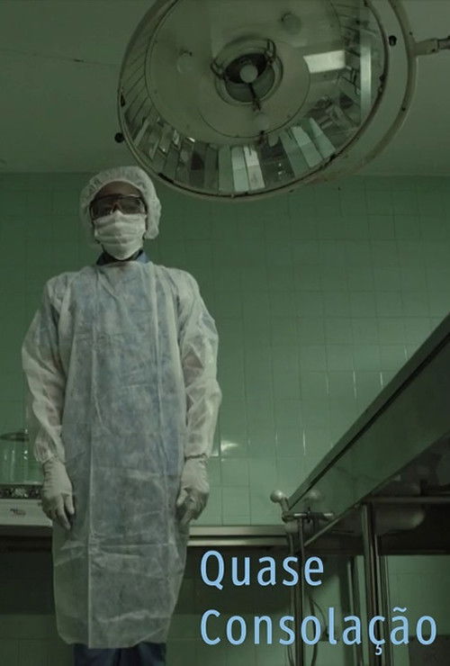 Quase Consolação (2013) poster