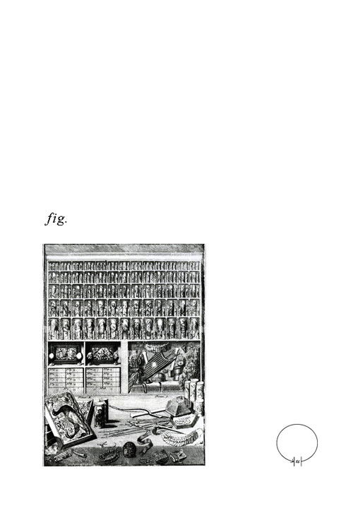 Wunderkammer (2022) poster