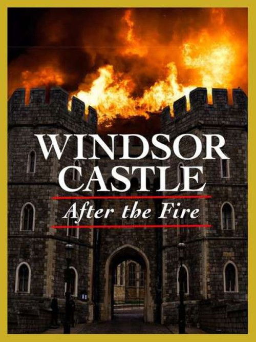 Windsor Castle: After the Fire (2011) poster