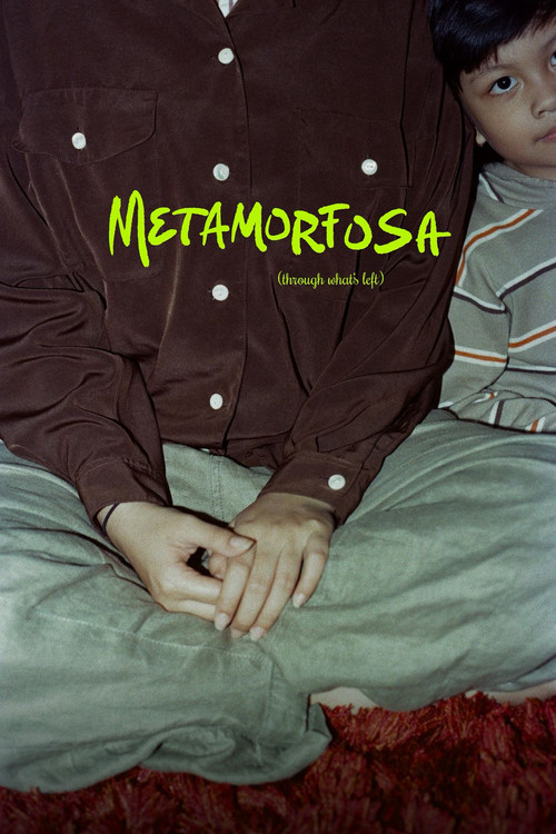 Metamorfosa poster