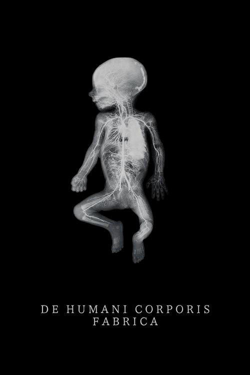 De Humani Corporis Fabrica (2023) poster