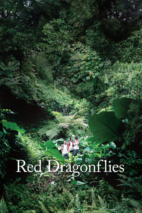 Red Dragonflies (2011) poster