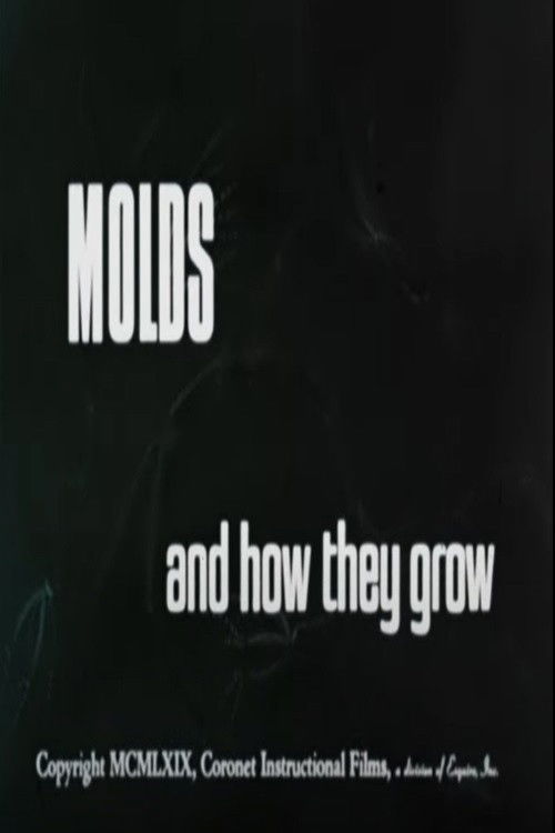 Molds and How They Grow (1969) poster