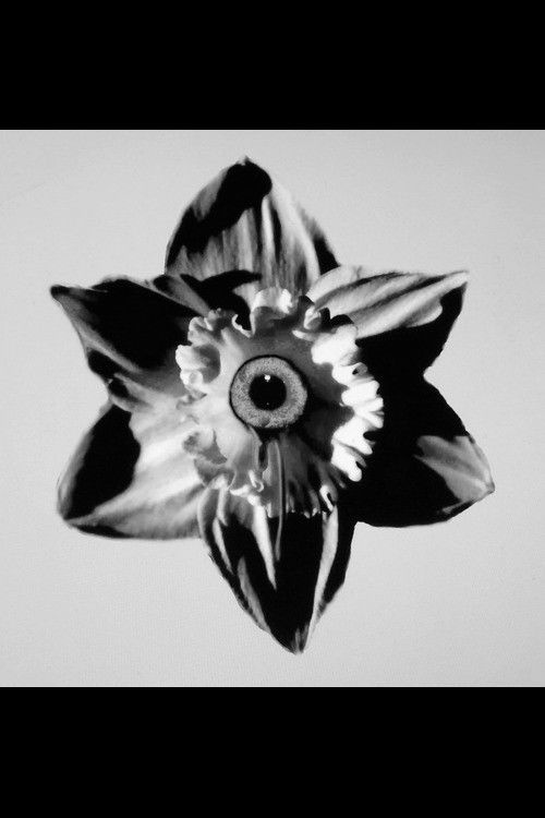 Das ist das Leben (2014) poster