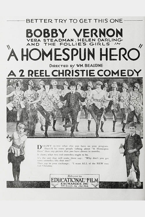 A Home Spun Hero (1920) poster