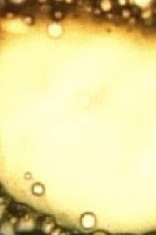 Rite of the Black Sun (2005) poster