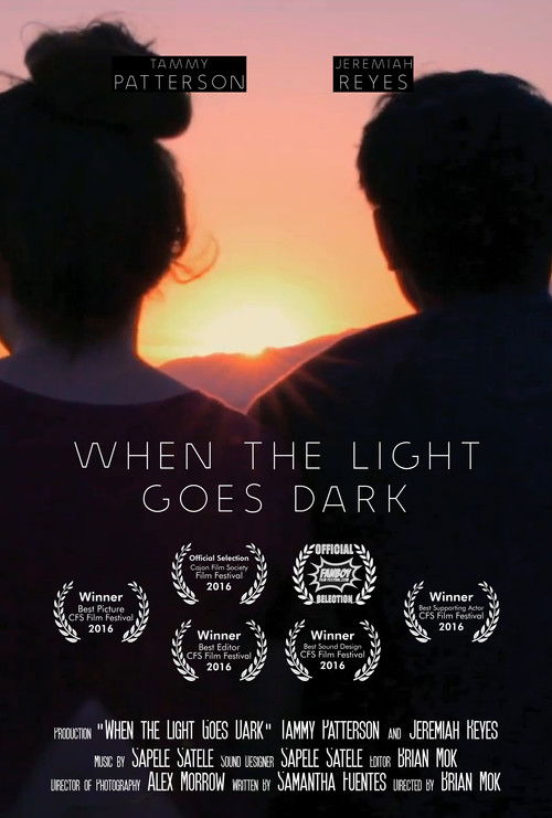 When the Light Goes Dark (2016) poster