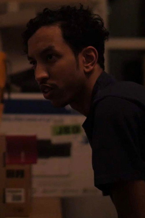 A Long Short History of the Day the Sun Exploded (2016) poster