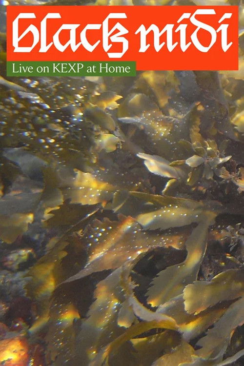black midi: Live on KEXP at Home (2021) poster
