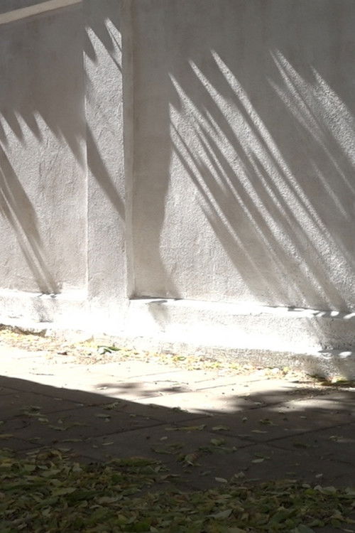 Elephant Far Away (2020) poster