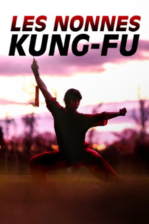 Les nonnes kung-fu : bouddhistes et féministes (2023) poster