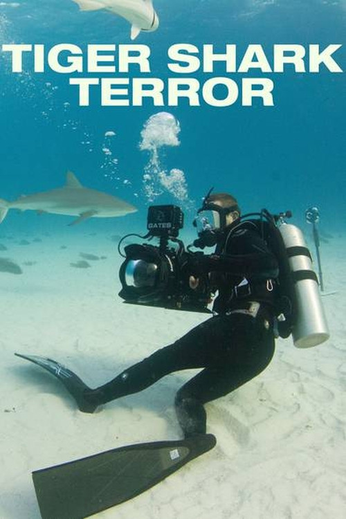 Tiger Shark Terror (2017) poster