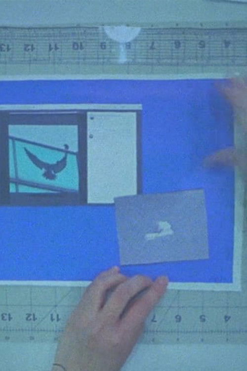 Birdsaver Report Volume 1 (2020) poster