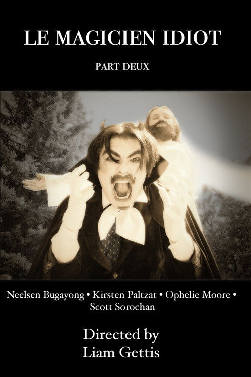 Le Magicien Idiot Part Deux (2025) poster