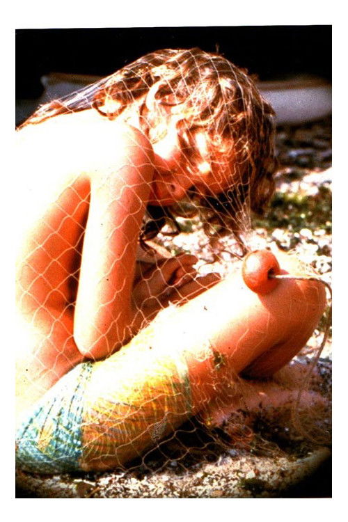 Ricciocapriccio (1981) poster