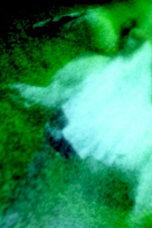 Homicevalo (2008) poster