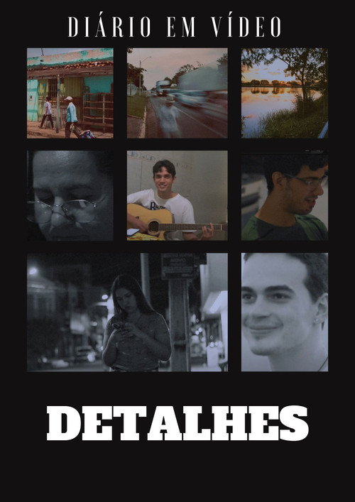 Diário Em Vídeo: Detalhes (2022) poster
