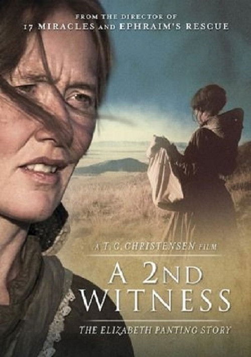 A 2nd Witness (2014) poster