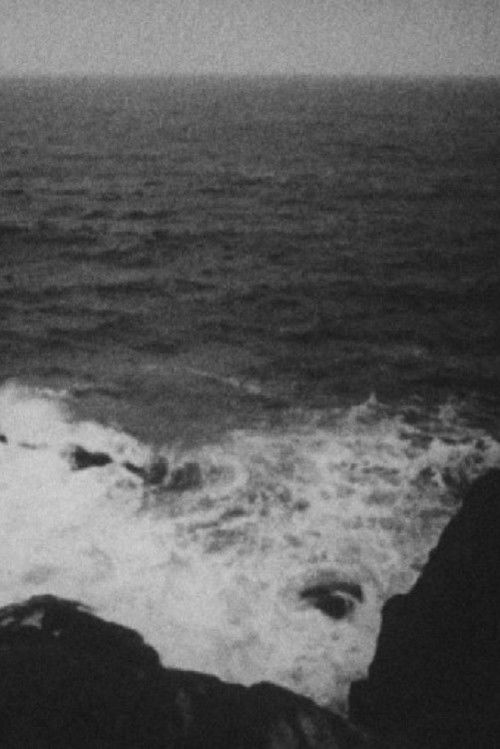 Travelogue: Portraits – Images from a journey (1969) poster