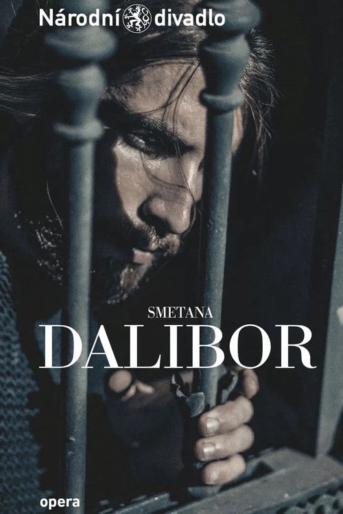 Dalibor (2022) poster